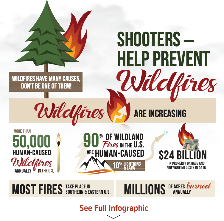Prevent Wildfires Inforgraphic